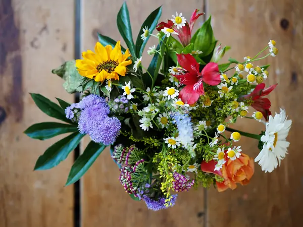 Flower photograph