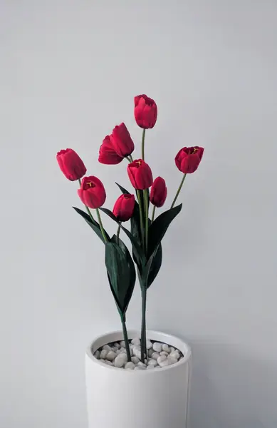 Flower photograph