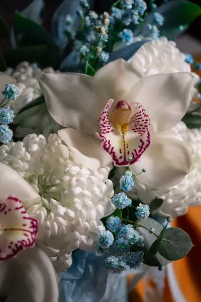 Flower photograph