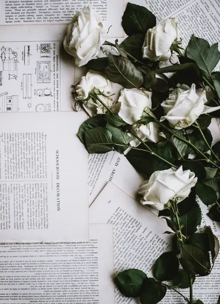 Flower photograph