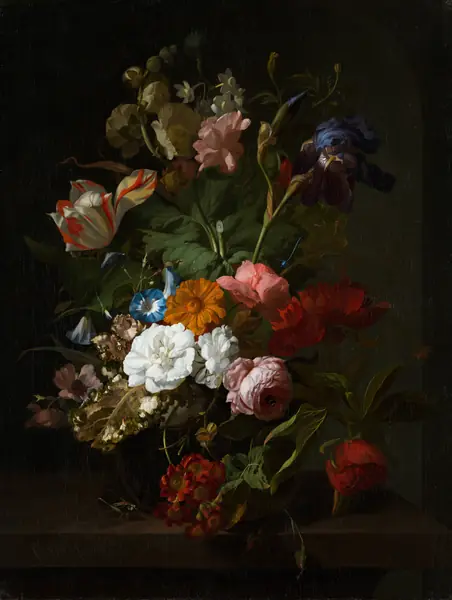 Flower photograph