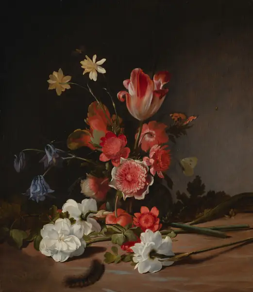 Flower photograph