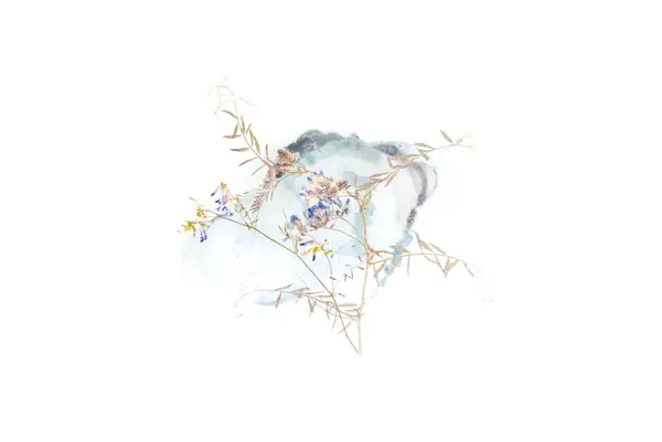 Flower photograph