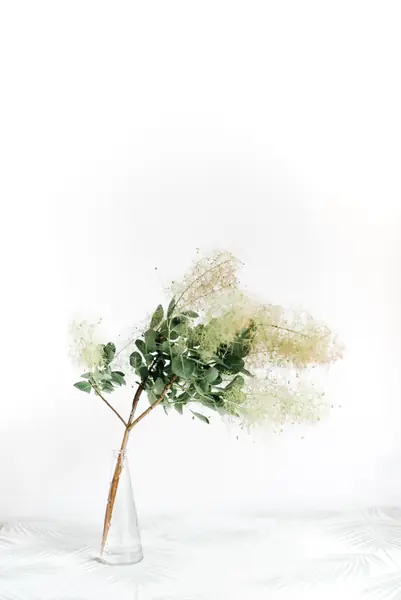 Flower photograph