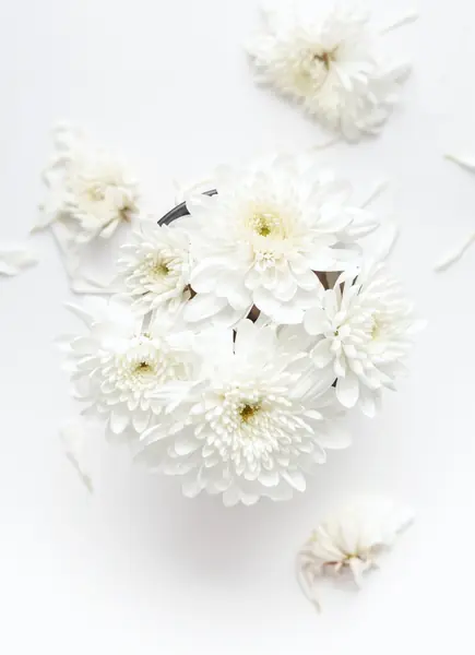 Flower photograph
