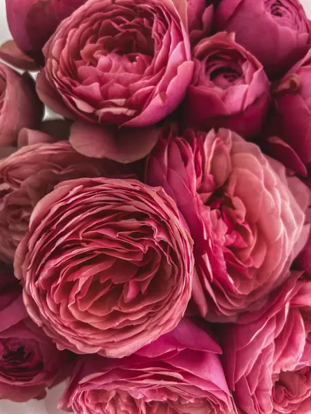 Flower photograph