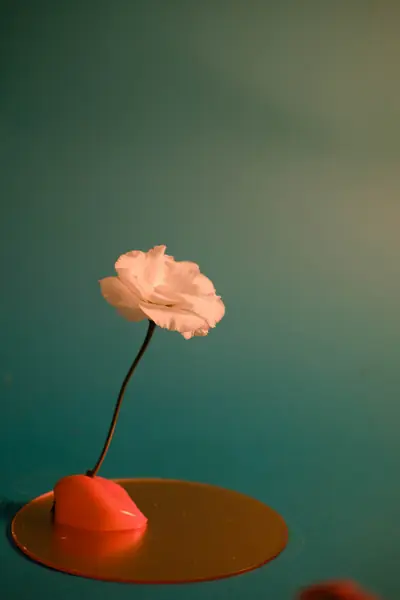 Flower photograph