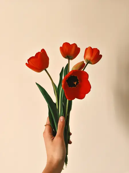 Flower photograph