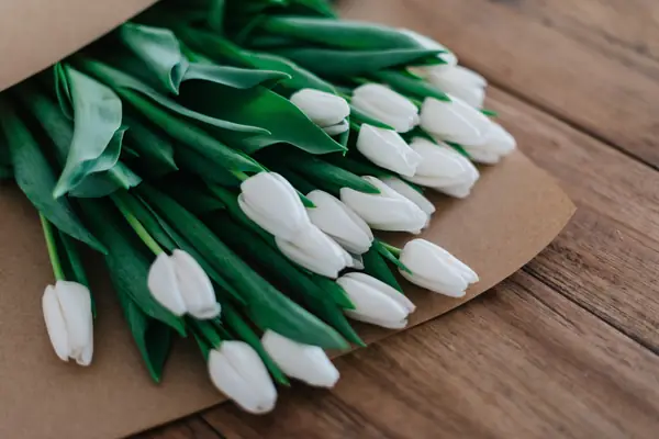 Flower photograph