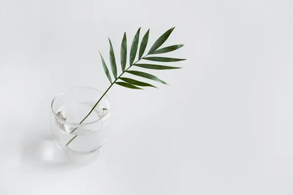 Flower photograph