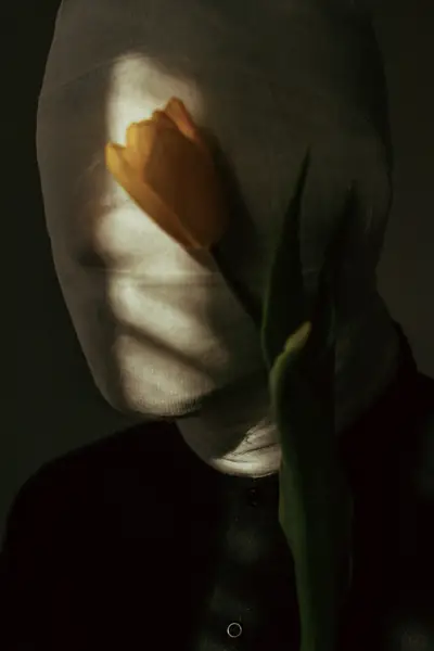 Flower photograph