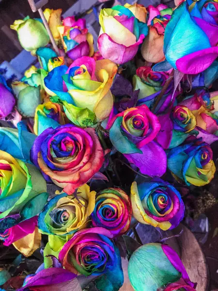 Flower photograph