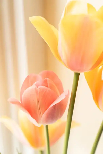 Flower photograph