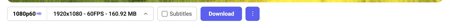 A tight crop of the download bar on its own, showing only the quality picker, the subtitles checkbox, the Download button and an overflow dot menu
